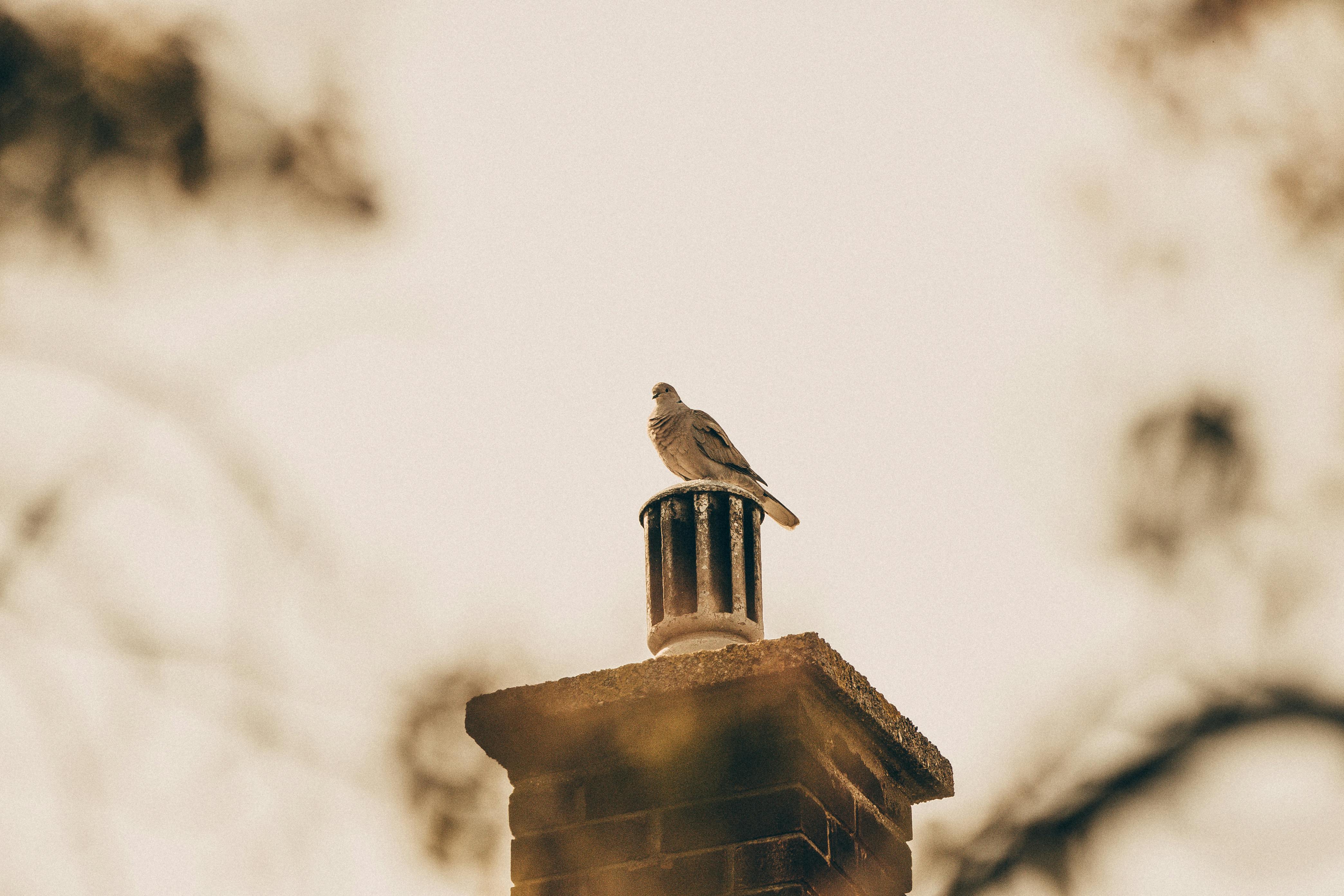 Professional Chimney Cap Installation Services in Hypoluxo, FL Expert Chimney Cap Installation in Hypoluxo, Florida